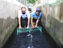 Warga Sekitar Bandara Soetta Budidaya Ikan di Selokan