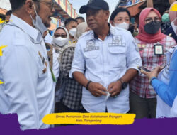 Mentan Cek Ketersediaan Bahan Makanan di Pasar Kelapadua