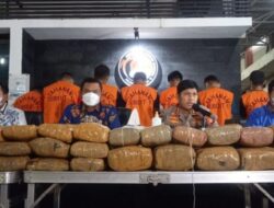 Ganja 471 Kg Jaringan Aceh-Medan Jakarta Terbongkar, Delapan Orang Ditangkap
