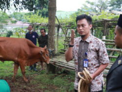 DPKP Beri Latihan Pemotongan Hewan Kurban