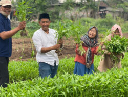 Wanita Kabupaten Tangerang Dilatih Pengembangan Pekarangan Pangan