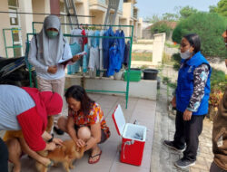 DPKP Kabupaten Tangerang Cegah Penyakit Menular Hewan Peliharaan, Sampel Darah Diambil