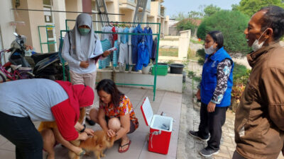 DPKP Kabupaten Tangerang Cegah Penyakit Menular Hewan Peliharaan, Sampel Darah Diambil