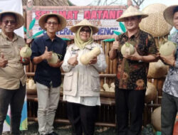 Kawasan Eduwisata Melon Ada di Sukamulya, Diinisiasi Anak Muda