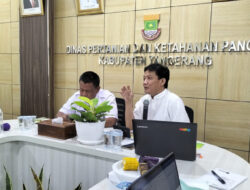 DPKP Kabupaten Tangerang Usulkan Sistem Pertanian Terpadu di 274 Desa/Kelurahan