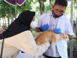 DPKP Kabupaten Tangerang : Cegah Rabies pada Hewan Kesayangan Anda
