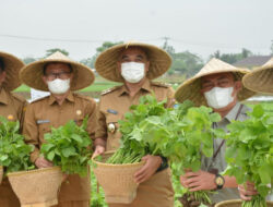Gedung Puskargo Sepatan untuk Jaga Produk Pertanian 