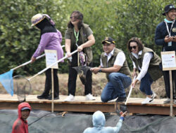 Ditanam 2014, Mangroove di Desa Ketapang Bermanfaat 2022