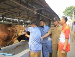 DKP Kota Tangerang Lakukan Cek Kesehatan Hewan Kurban