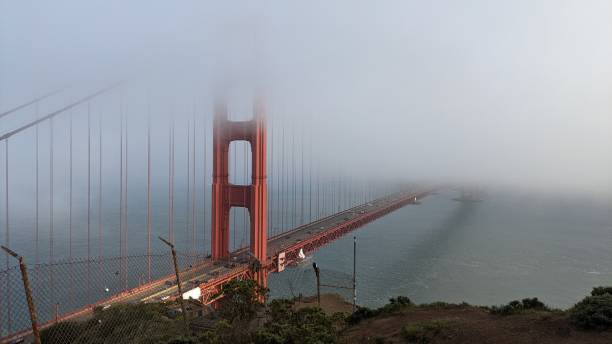 10 Jembatan dengan Kasus Bunuh Diri Terbanyak dan Kisah yang Mengejutkan