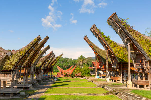 Tana Toraja: Keajaiban Alam dan Budaya yang Menyentuh Hati di Sulawesi Selatan