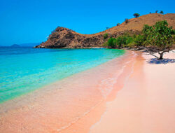 Keunikan Pasir Putih di Pantai Pink Lombok: Pesona Alam yang Menakjubkan