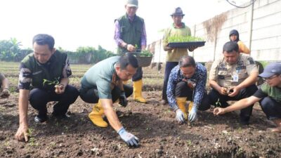 Pemkot Tangerang Luncurkan Gerakan Tanam Cabai: Upaya Efektif Kendalikan Inflasi Pangan