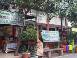 Pemkot Tangerang Sukses Ciptakan 490 Sekolah Adiwiyata di Tahun 2024