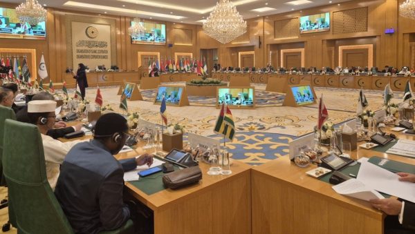 Wamenlu RI Anis Matta desak OKI hentikan aneksasi Gaza oleh Israel