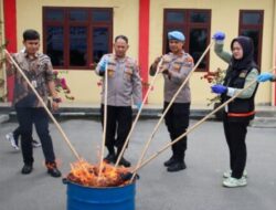 Polres Belawan Musnahkan 12,4 Kg Ganja dan Puluhan Gram Sabu Hasil Ungkapan Kasus